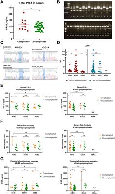 The influence of 4G/5G polymorphism in the plasminogen-activator-inhibitor-1 promoter on COVID-19 severity and endothelial dysfunction